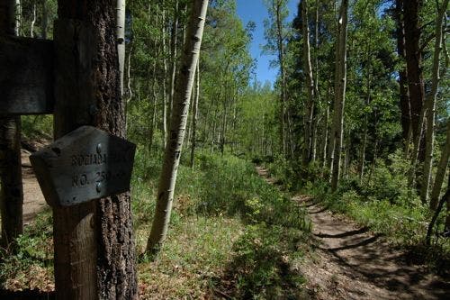 Rociada Trail Junction None