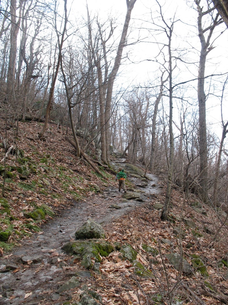 Rock-and-Mud-Covered Trail None