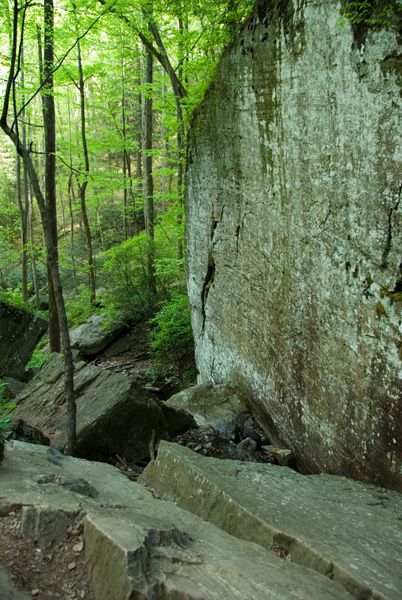 Rock Face None