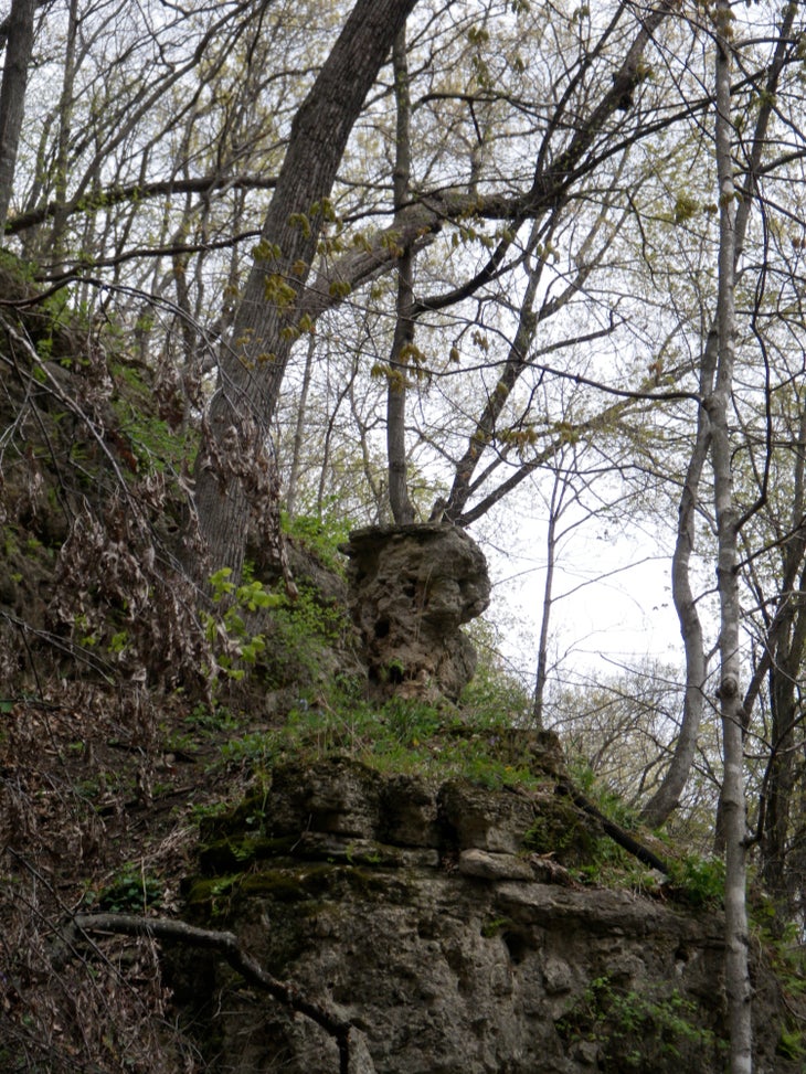 Rock formation None