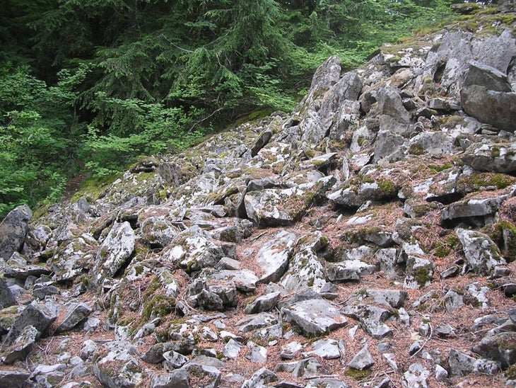 Rock Garden None