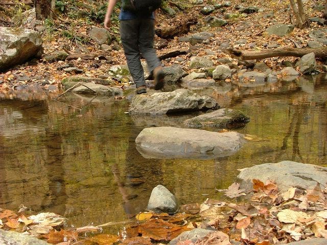 Rock hopping through Thorton Hollow None