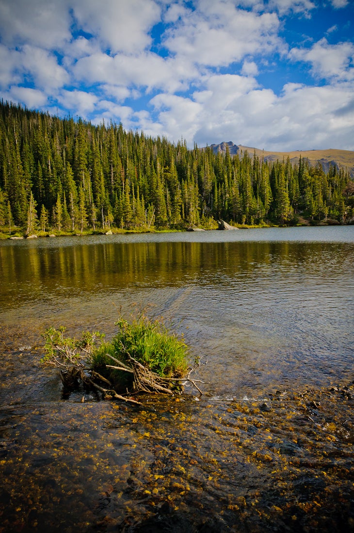 Rock Lake None