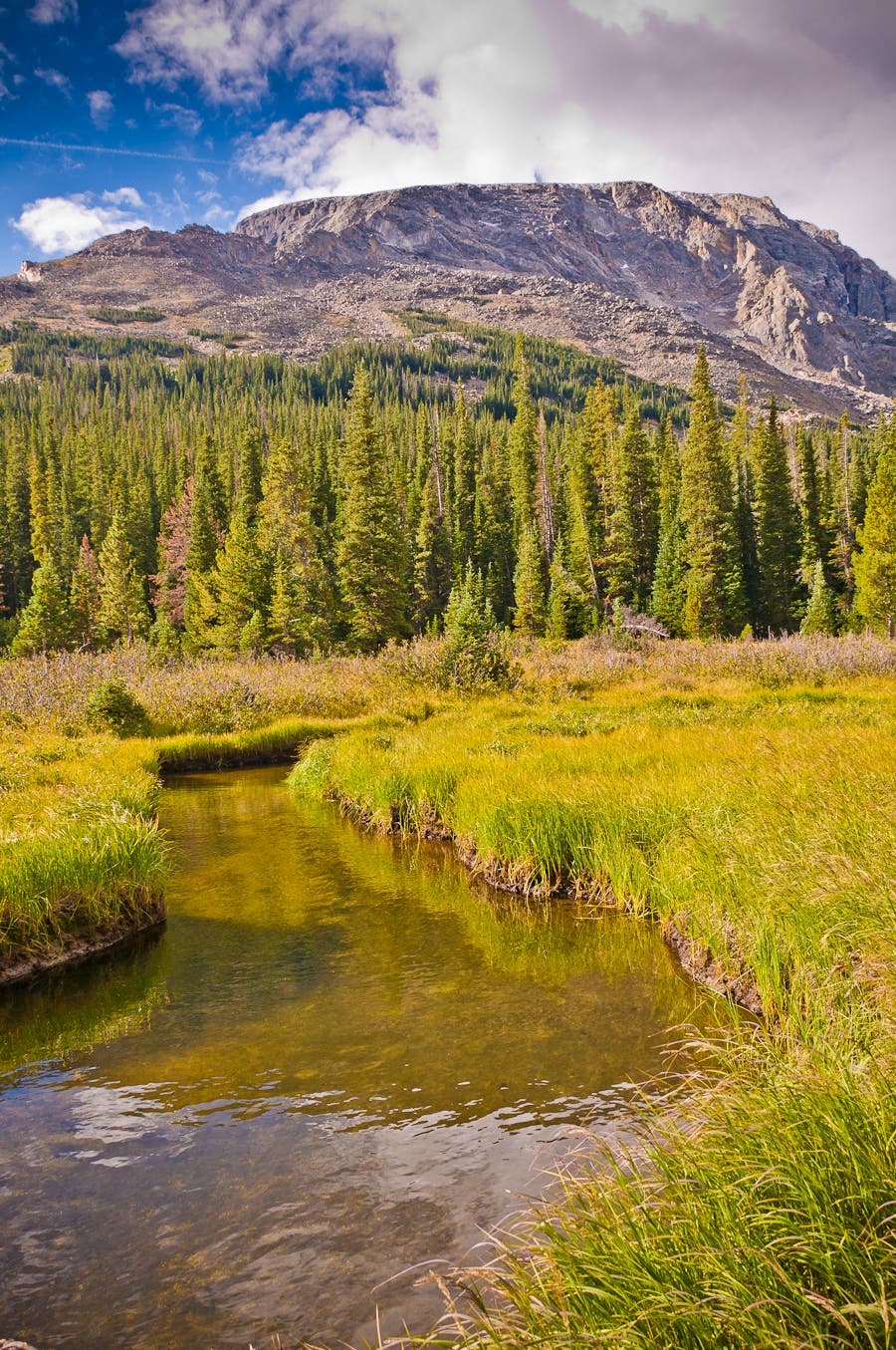 Rock Lake's outlet creek flows through the meadow None