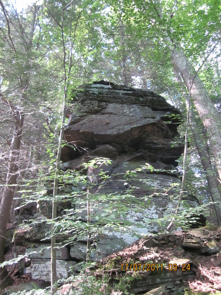 Morgantown, WV: Spruce Knob via Spring Ridge Trail