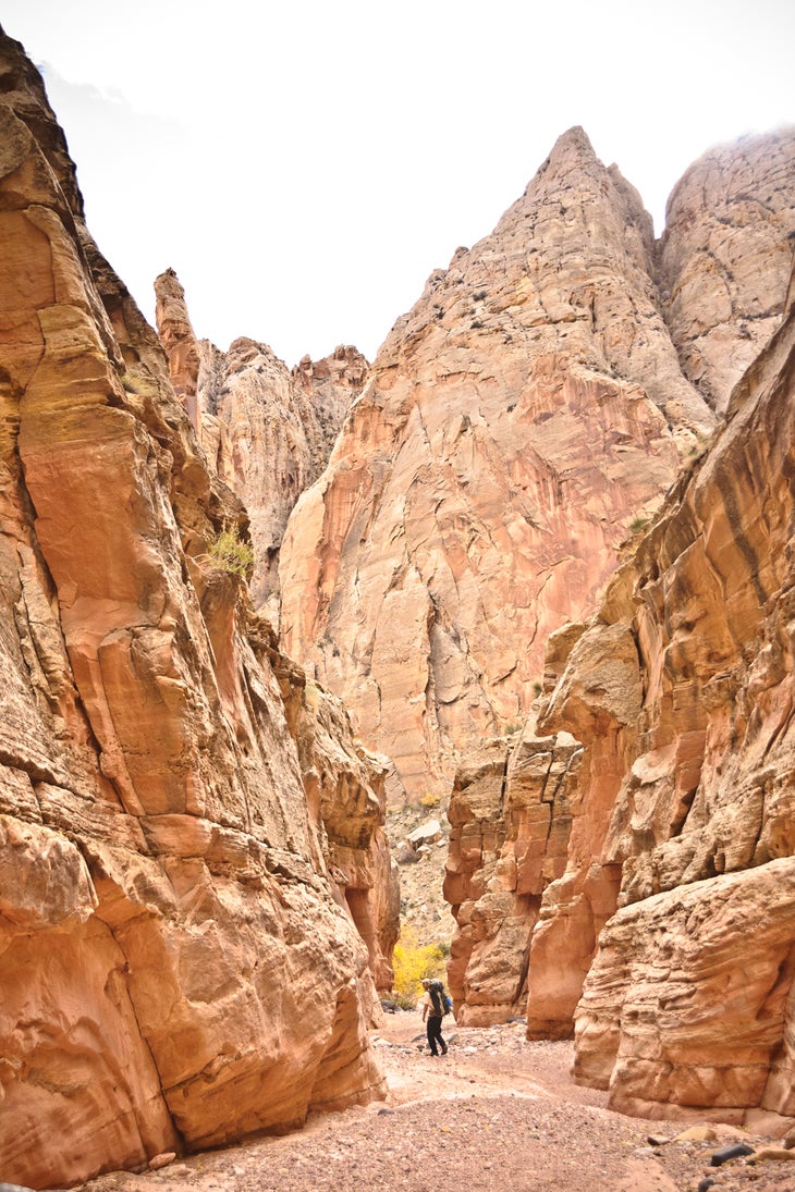 Pleasant Creek - Capitol Reef National Park (U.S. National Park