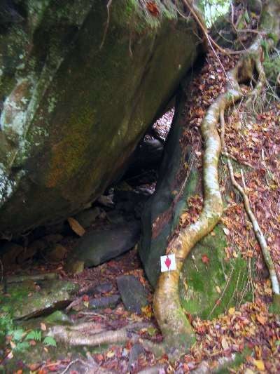 Rock Squeeze None