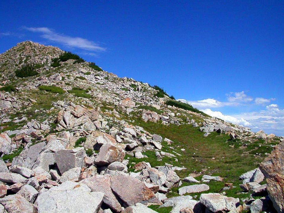 Rock-strewn Ridge None