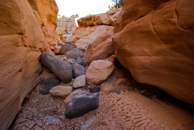 Rock-Strewn Wash None