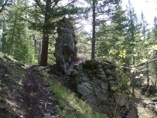 Rock Throne None