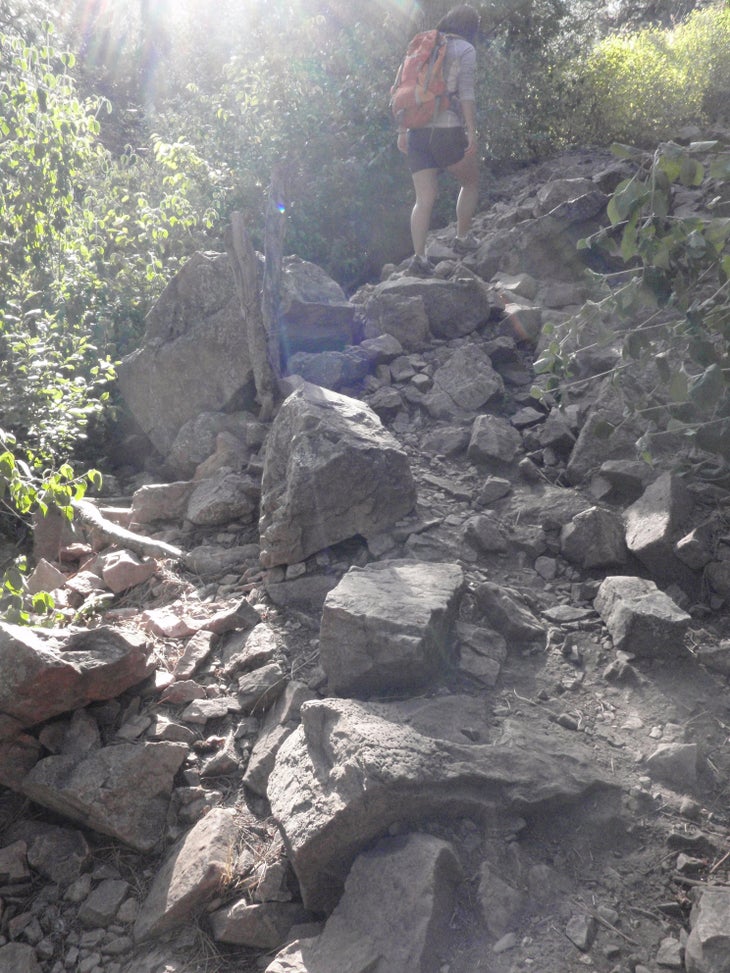 Rock Walk None