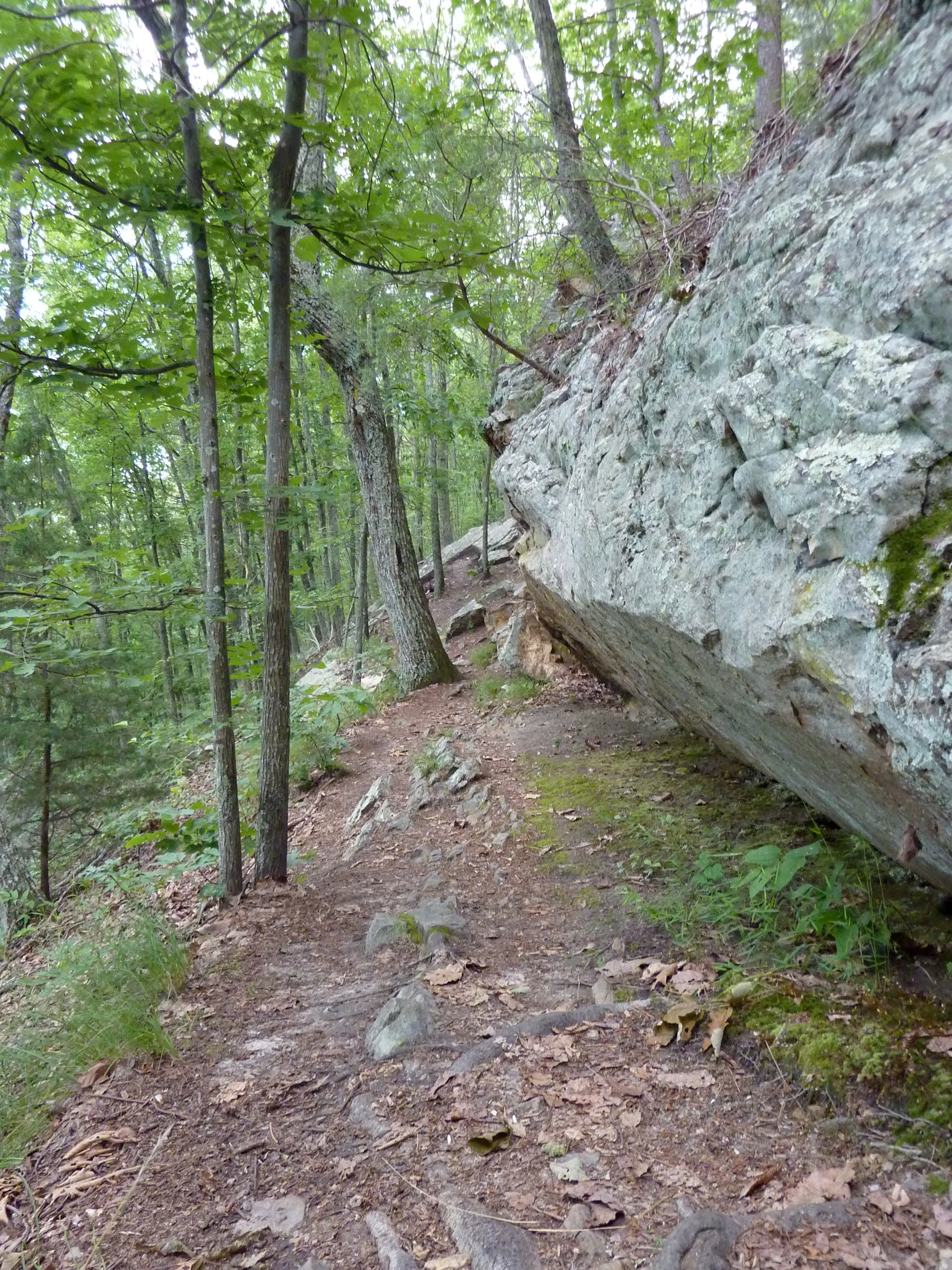Rock Wall on West Overlook Trail None