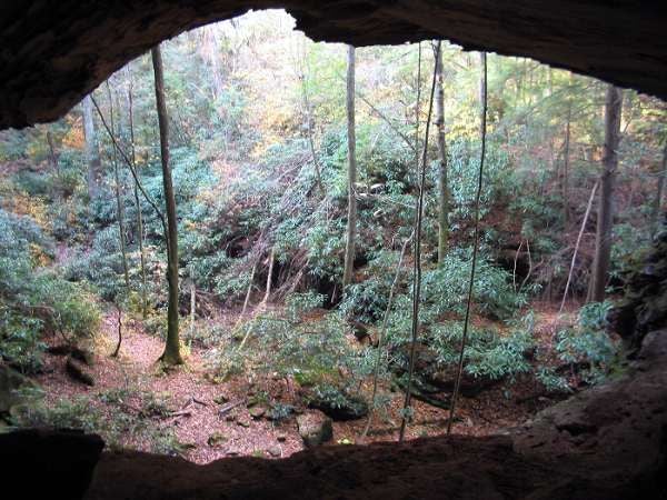 Honey creek loop 2025 trail