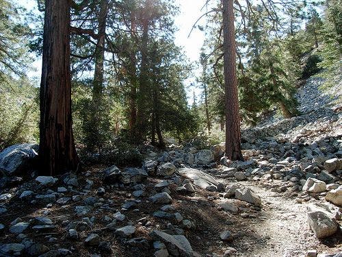 Rockier trail in upper Icehouse None