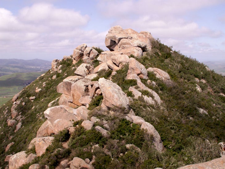 Rocks None