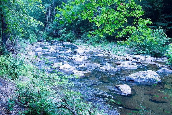 Rocks in the water None