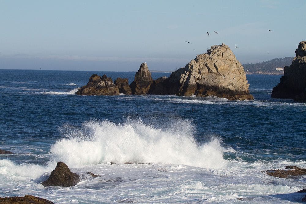 Rocks of Headland Cove None