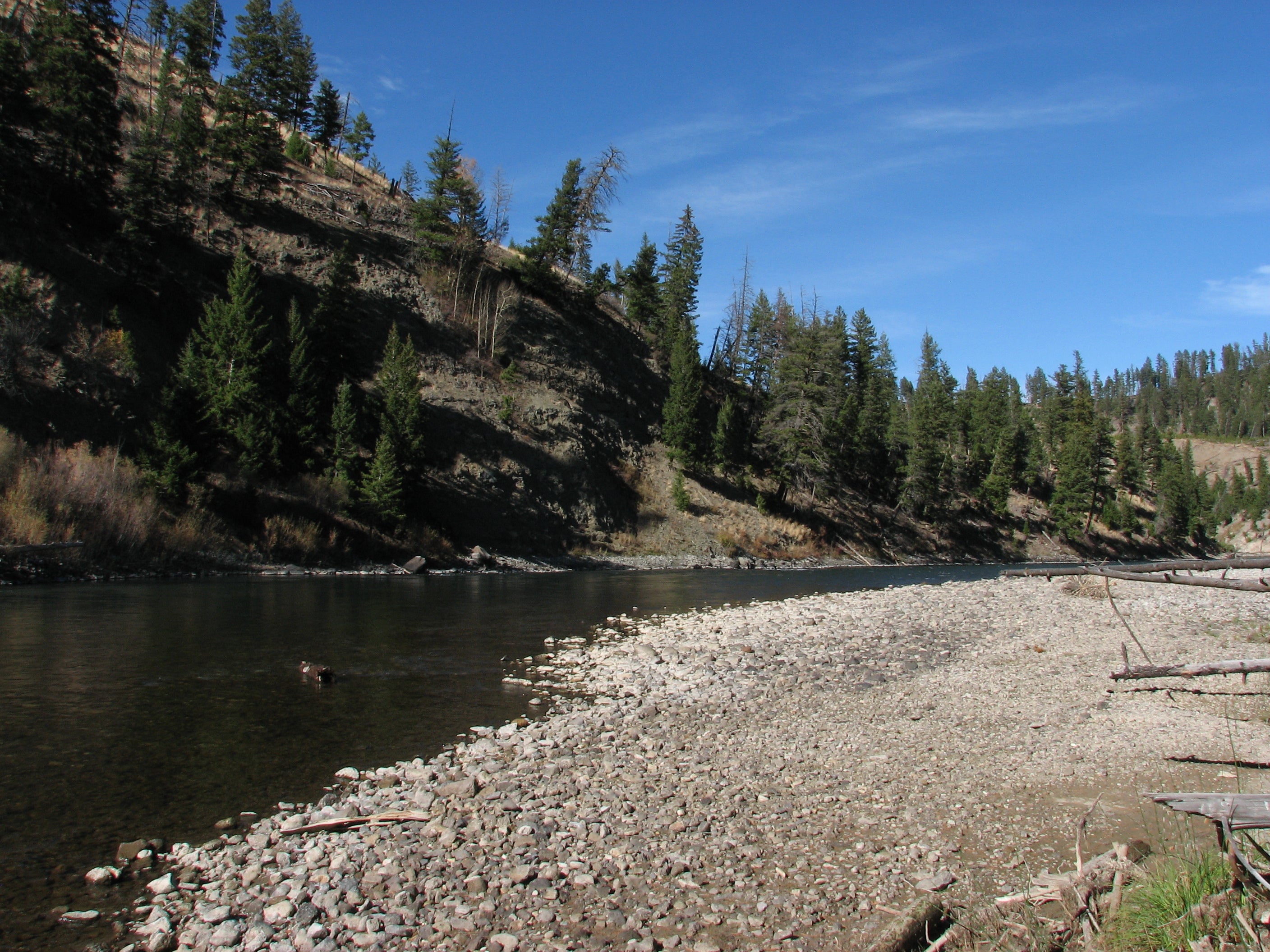 "Specimen Ridge Trail"