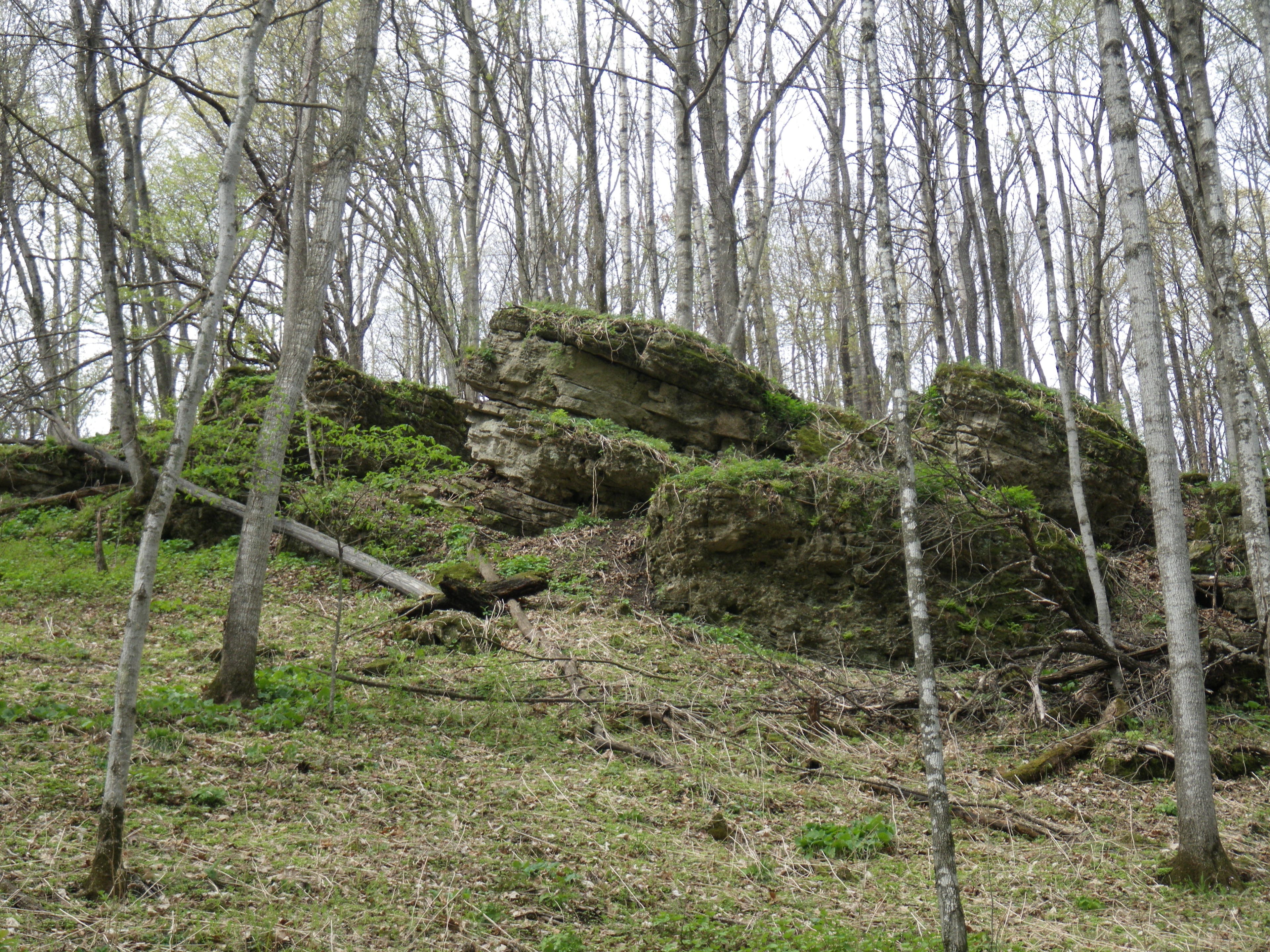 Rocky bluff along Forester Trail None
