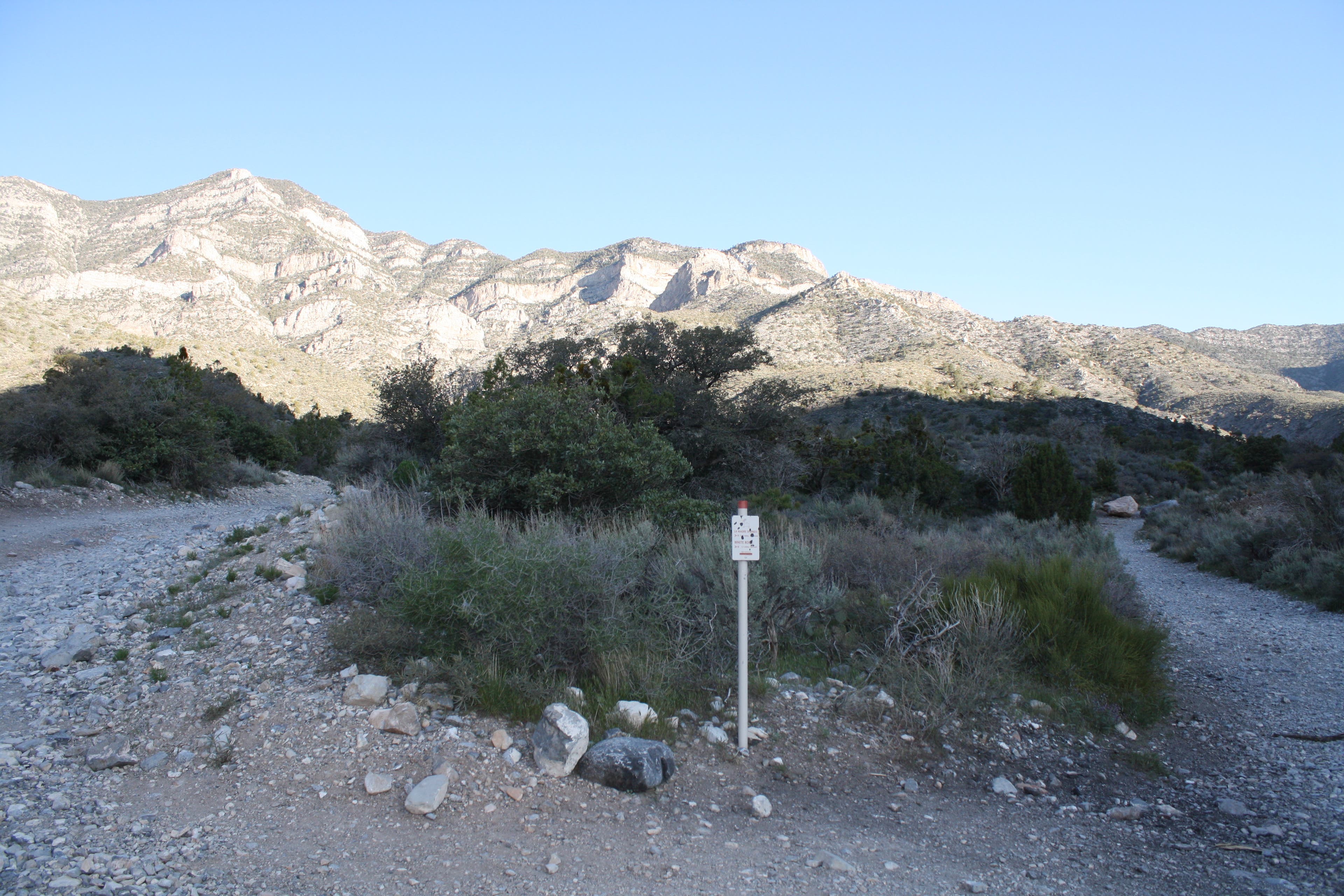 Rocky Gap Road Junction None