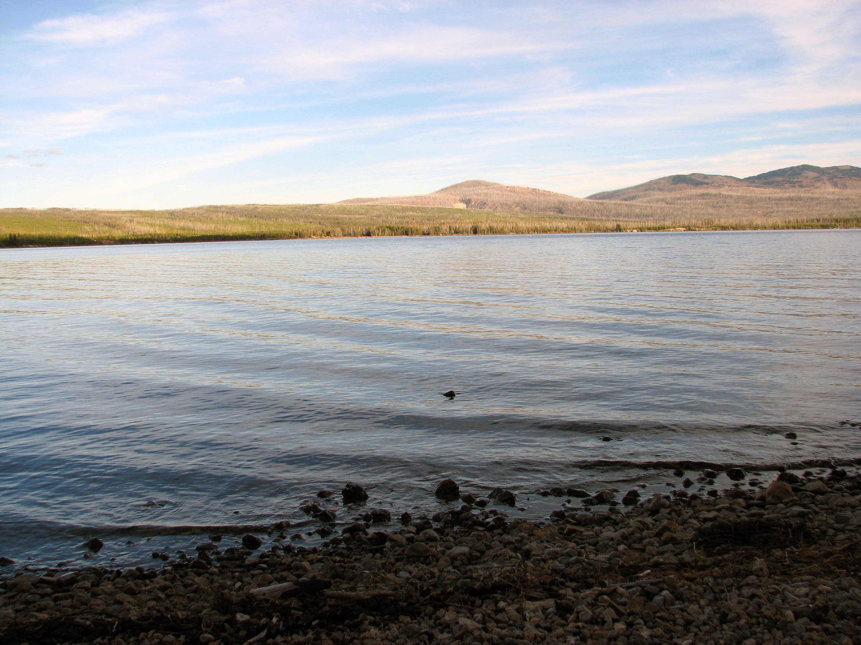 Rocky Lakeshore None