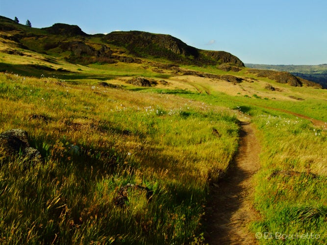Rocky Meadows None