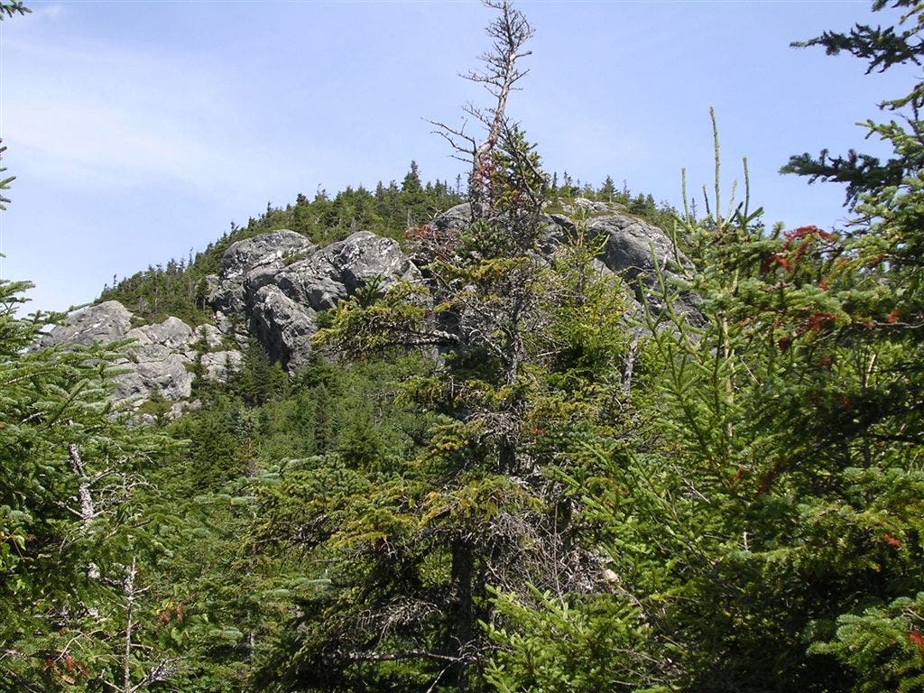 Rocky outcropping None