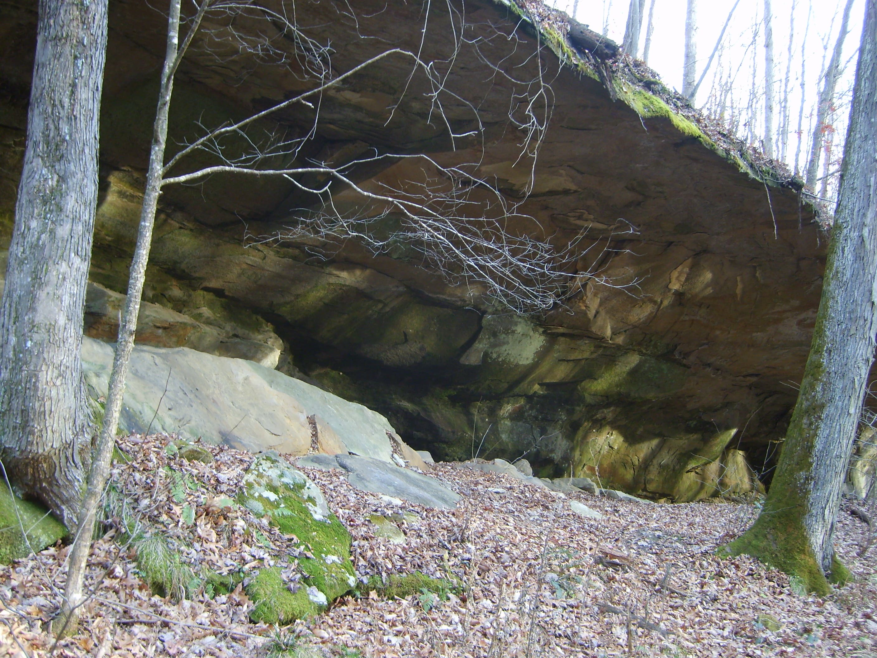 Rocky outcrops dot the trail None