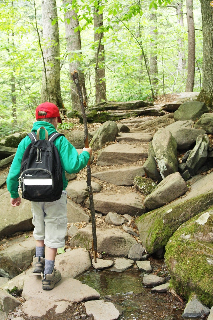 Rocky Trail None