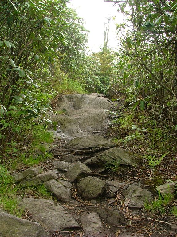 Rocky Trail None