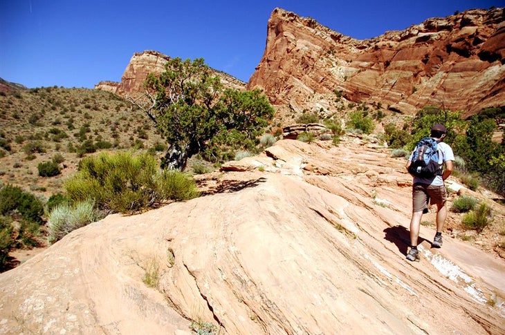 Rocky Trail None