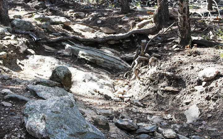 Rocky trail conditions None