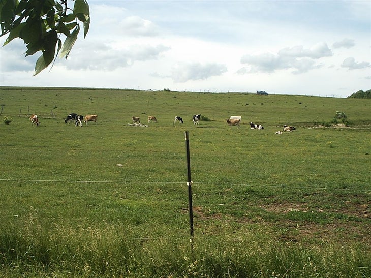 Rolling Fields None