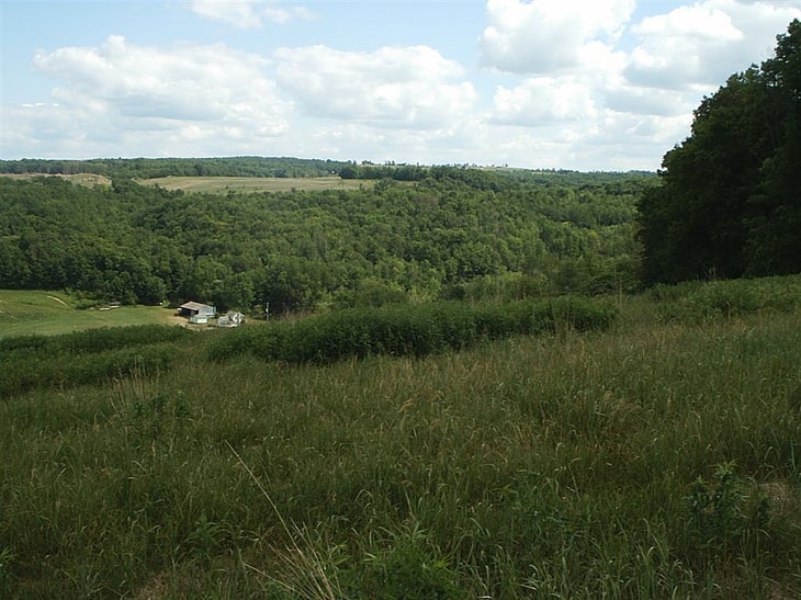 Rolling Hills None
