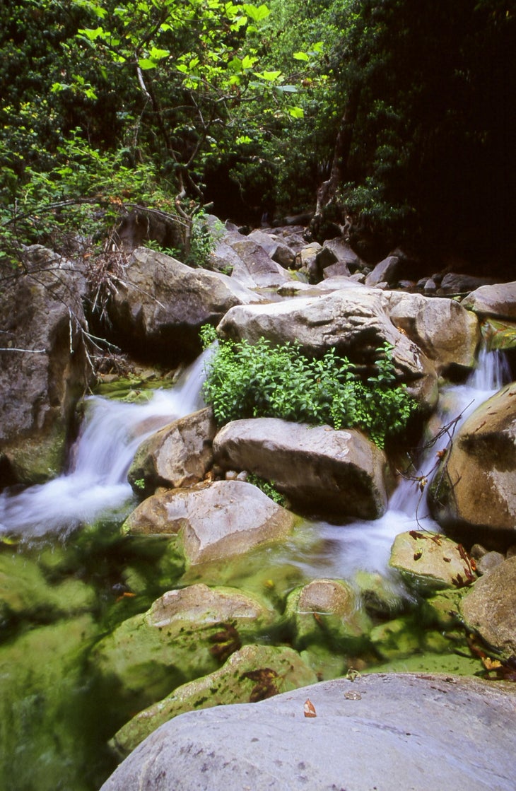 Romero Canyon Creek None