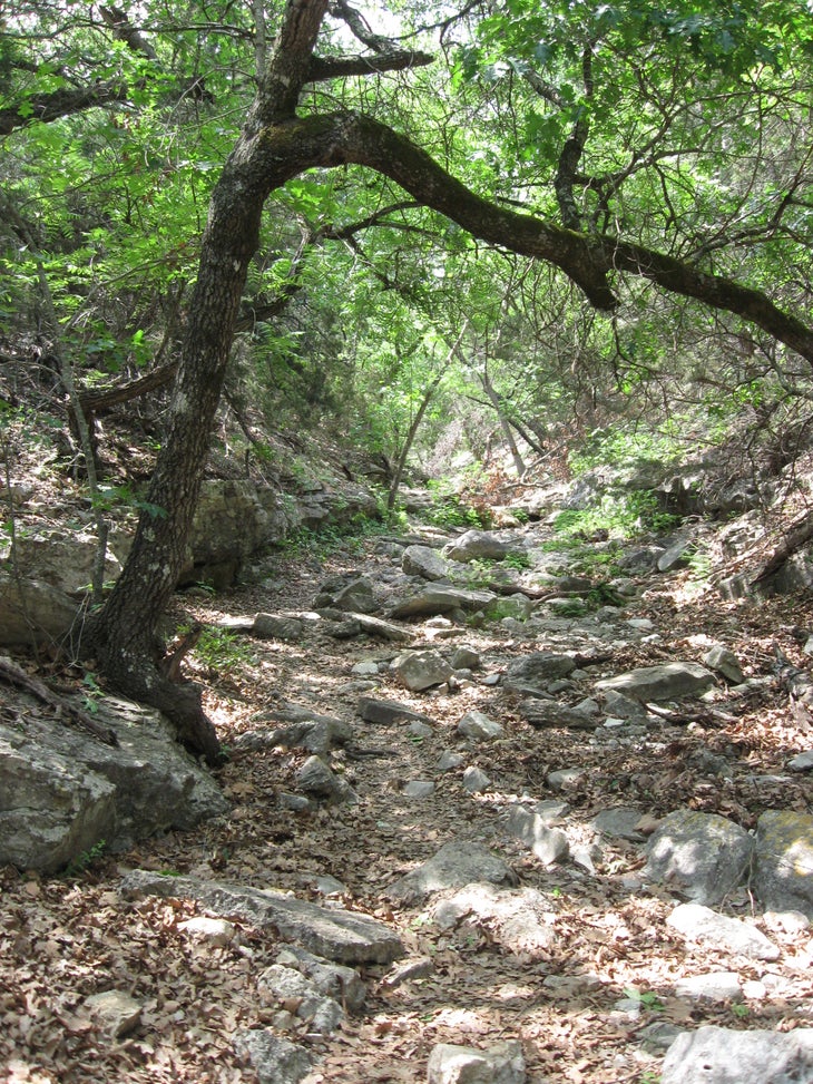Rugged trail. None
