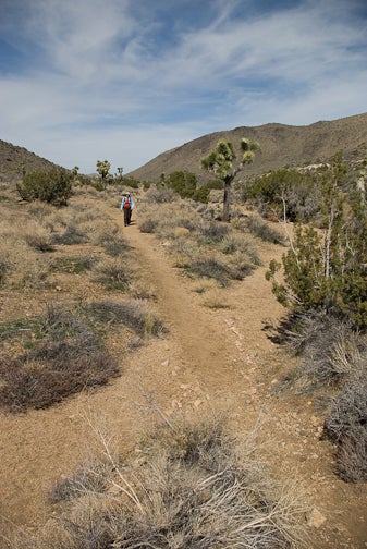 Ryan Mountain None