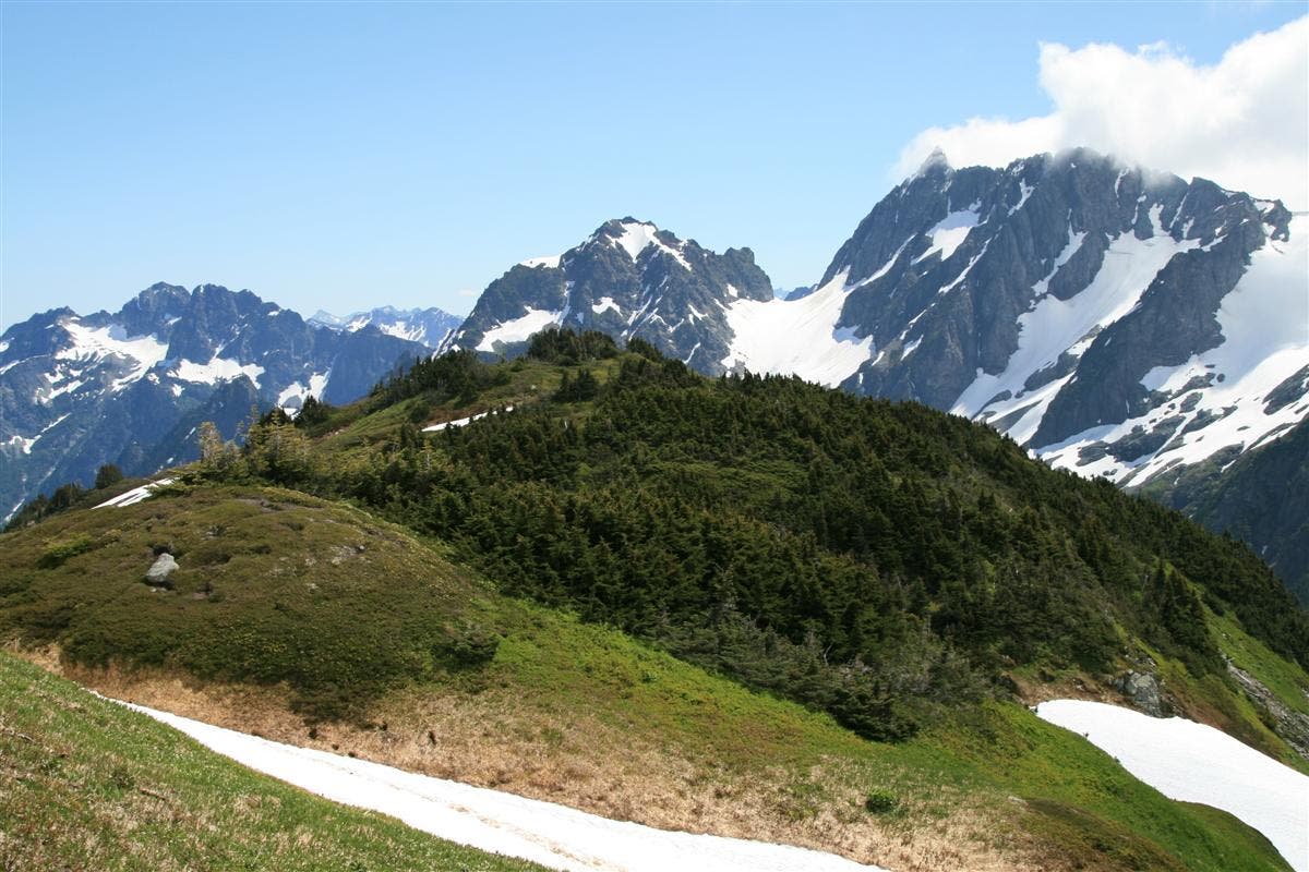 Sahale Arm Meadow views None