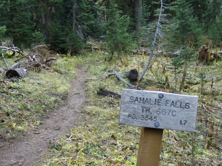 Sahalie Jct. None