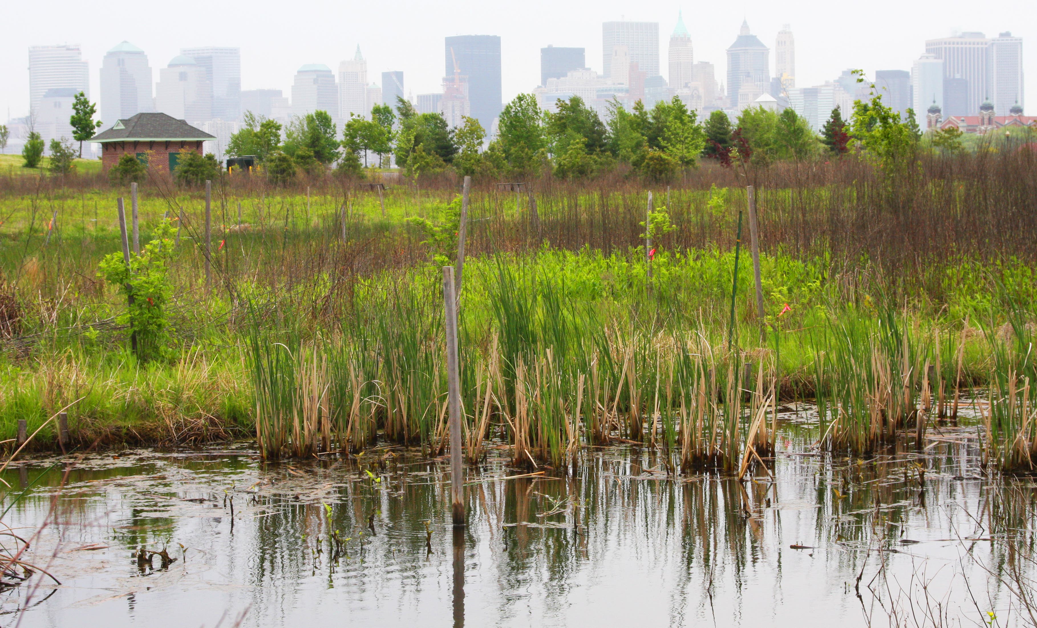 Liberty State Park: Salt Marsh