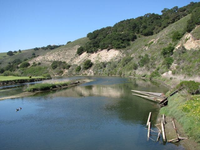 San Luis Obispo Creek None