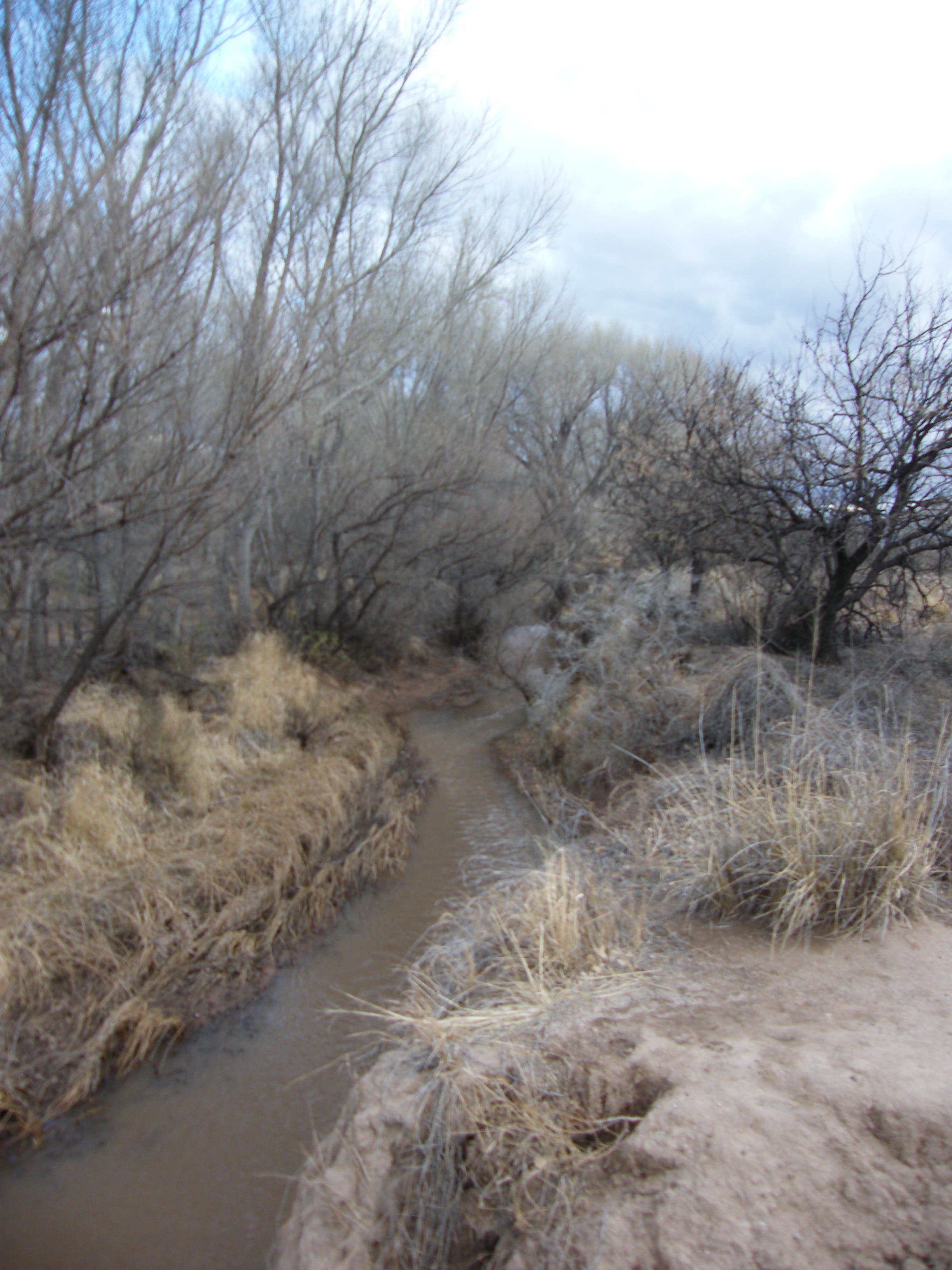 San Pedro River None