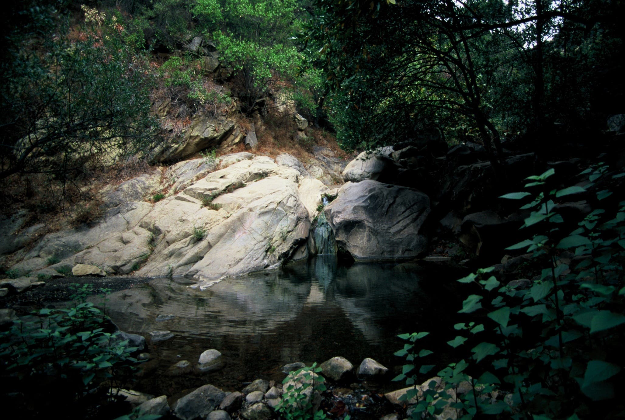 San Ysidro Canyon Pool None