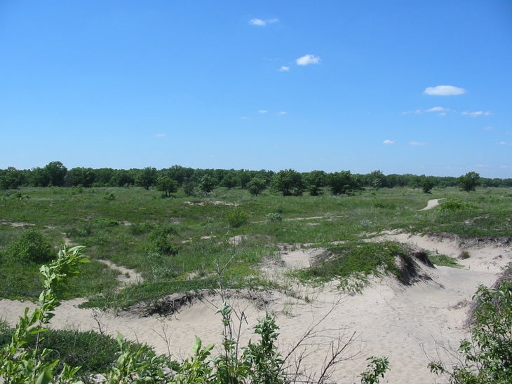 Sand Dunes None