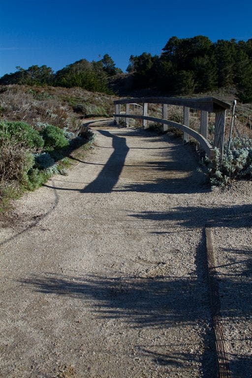 Sand Hill and South Shore Trails None