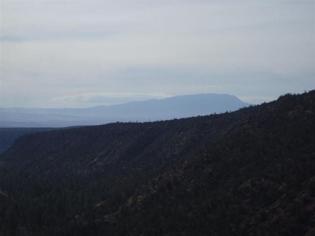 Sandias None