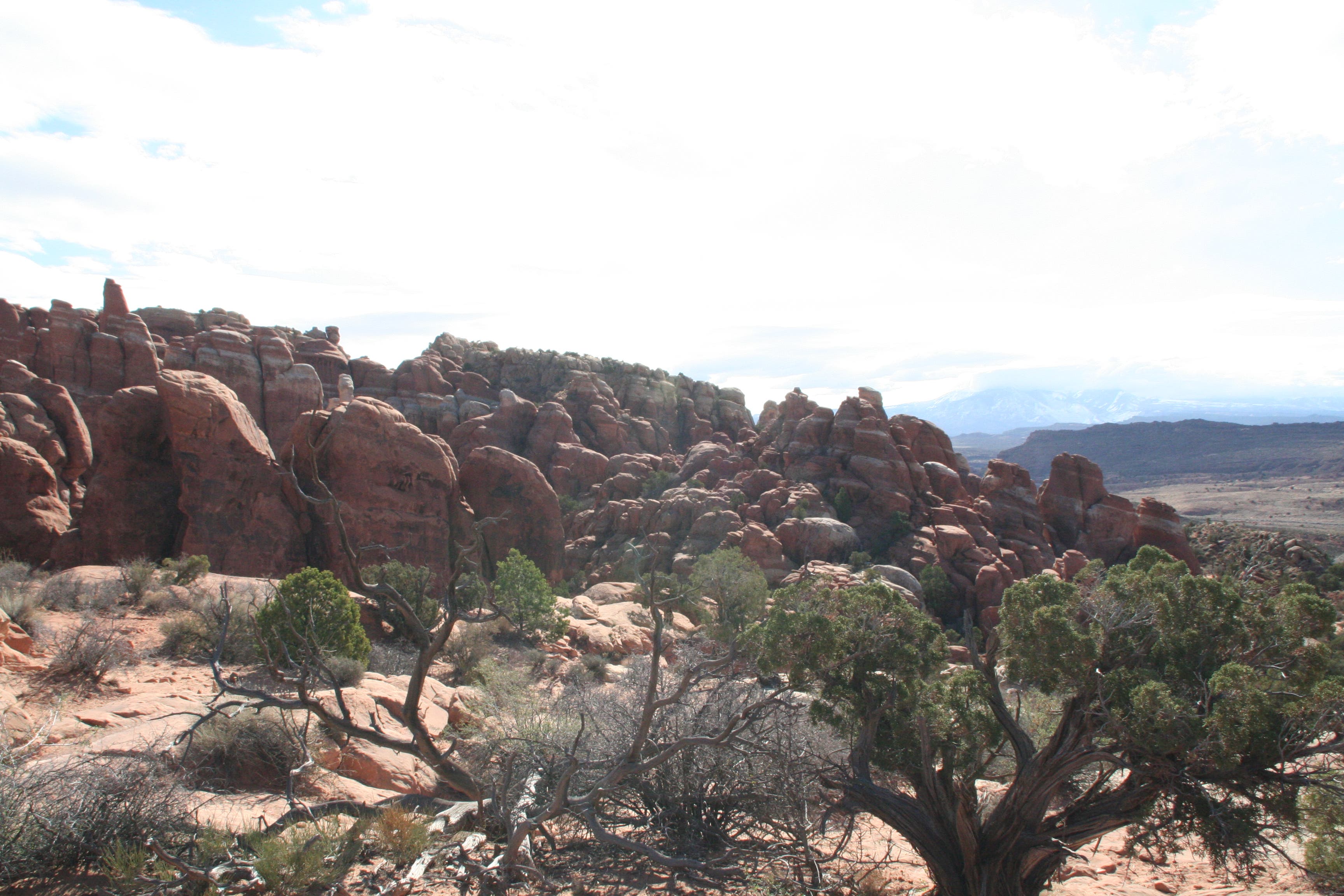 Sandstone Fins of Fiery Furnace None