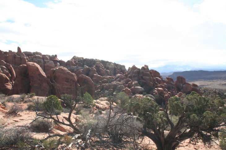 Sandstone Fins of Fiery Furnace None