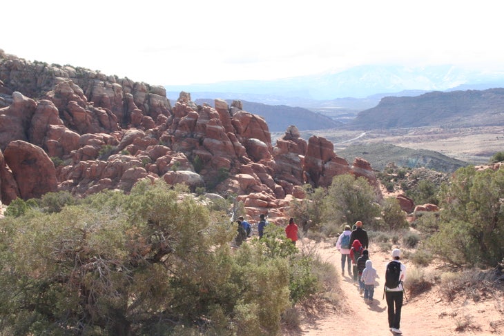 Sandstone Fins with the La Sal Mountainsin the distance None