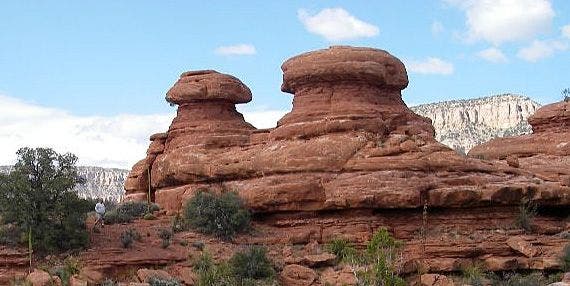 Sandstone mushroom formations on Esplanade None